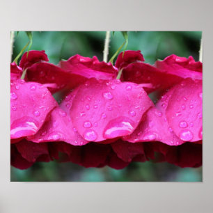 Tiled Red Rose Flowers And Raindrops Poster