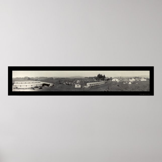 Tillamook County Fair Photo 1915 Poster (Front)