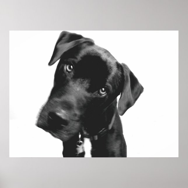 Tilted Poster (Front)