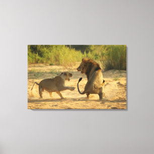 Timbavati River, Kruger National Park, Limpopo Canvas Print
