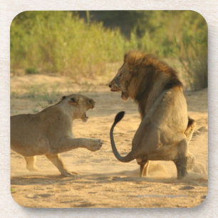 Timbavati River, Kruger National Park, Limpopo Coaster