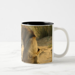 Timbavati River, Kruger National Park, Limpopo Two-Tone Coffee Mug