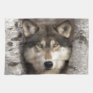 Timber wolf by Jim Zuckerman Tea Towel