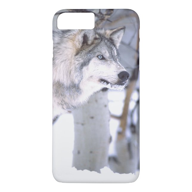 Timber Wolf, Canis lupus, Movie Animal Utah) Case-Mate iPhone Case (Back)