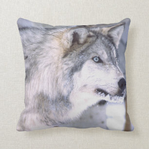 Timber Wolf, Canis lupus, Movie Animal Utah) Cushion
