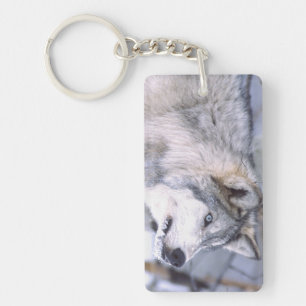 Timber Wolf, Canis lupus, Movie Animal Utah) Key Ring