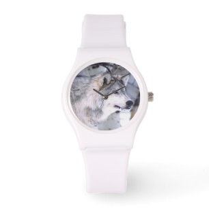 Timber Wolf, Canis lupus, Movie Animal Utah) Watch