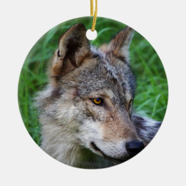 Timber Wolf Ceramic Tree Decoration (Front)