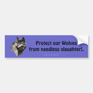 Timber Wolf Conservation Bumper Sticker