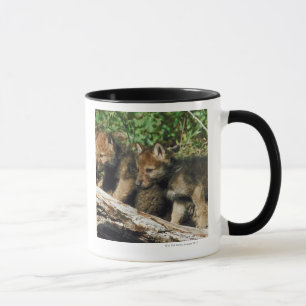 Timber wolf cubs mug