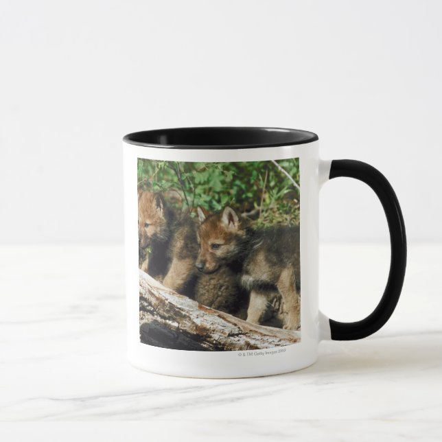 Timber wolf cubs mug (Right)