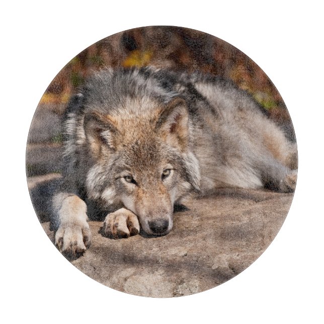 Timber Wolf Cutting Board (Front)