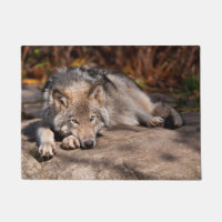 Timber Wolf