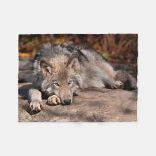 Timber Wolf Fleece Blanket