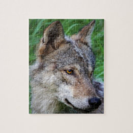 Timber Wolf Jigsaw Puzzle