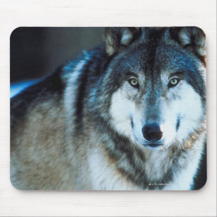 Timber wolf mouse mat