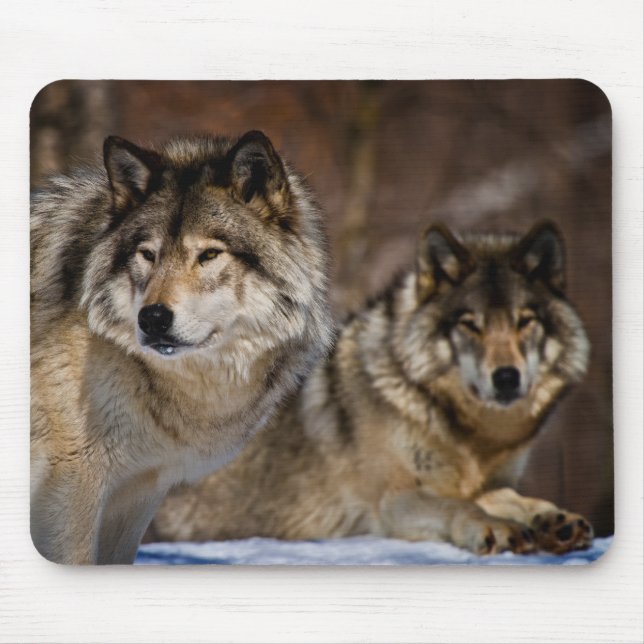 Timber Wolf Mouse Pad (Front)