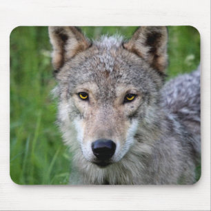 Timber Wolf Mouse Pad