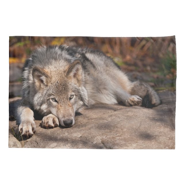 Timber Wolf Pillowcase (Back)