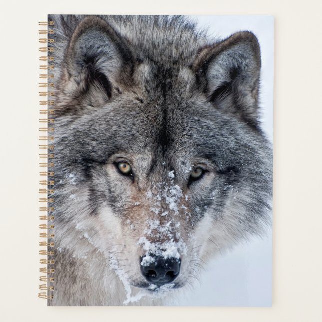 Timber Wolf  Planner (Front)