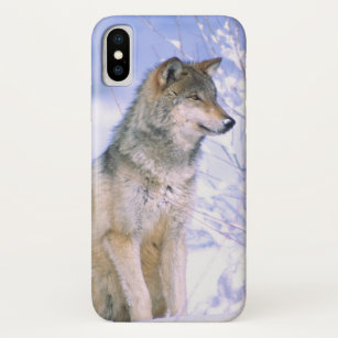 Timber Wolf sitting in the Snow, Canis lupus, Case-Mate iPhone Case