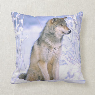 Timber Wolf sitting in the Snow, Canis lupus, Cushion