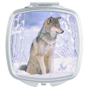 Timber Wolf sitting in the Snow, Canis lupus, Makeup Mirror