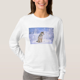Timber Wolf sitting in the Snow, Canis lupus, T-Shirt