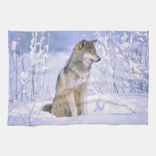 Timber Wolf sitting in the Snow, Canis lupus, Tea Towel