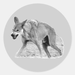 Timber Wolf Snarl Classic Round Sticker