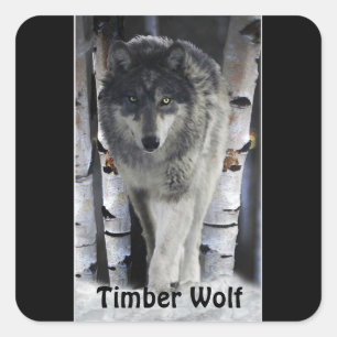 TIMBER WOLF Wildlife Supporter Artwork Square Sticker