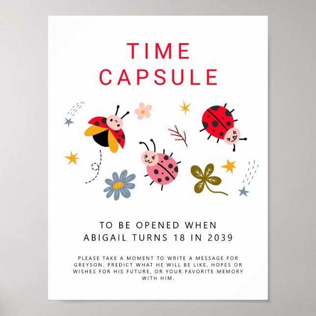 Time Capsule Sign Ladybug Birthday Party (Front)