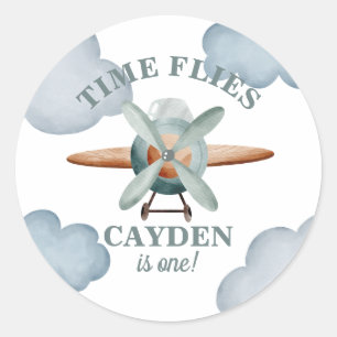 Time Flies Aeroplane Birthday Classic Round Sticker