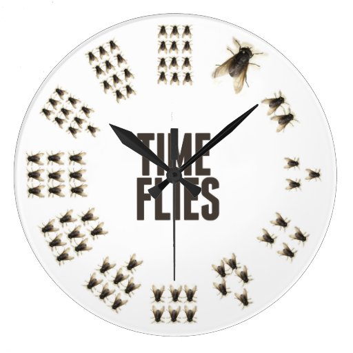 Image of Time Flies Clock