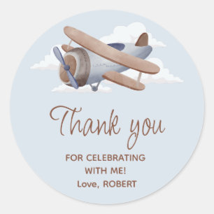 Time Flies Vintage Travel Blue Aeroplane Classic Round Sticker