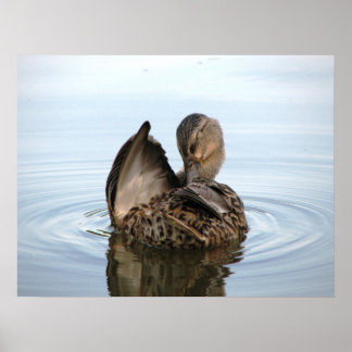 Time for a Bath - POSTER