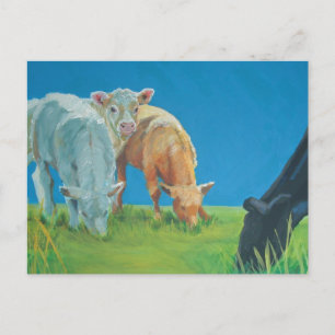 Time for a snack postcard