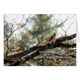 Time of the Singing Birds Parakaleo note card