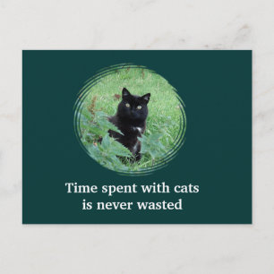 Time Spent With Cats Is Never Wasted Postcard