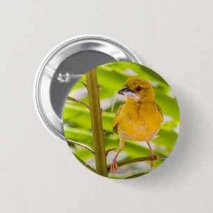 Time to build the nest 6 cm round badge