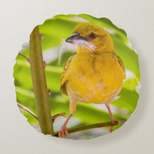 Time to build the nest round cushion
