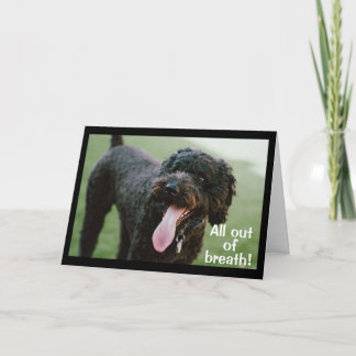 **TIME TO CELEBRATE YOUR 12th BIRTHDAY** Card