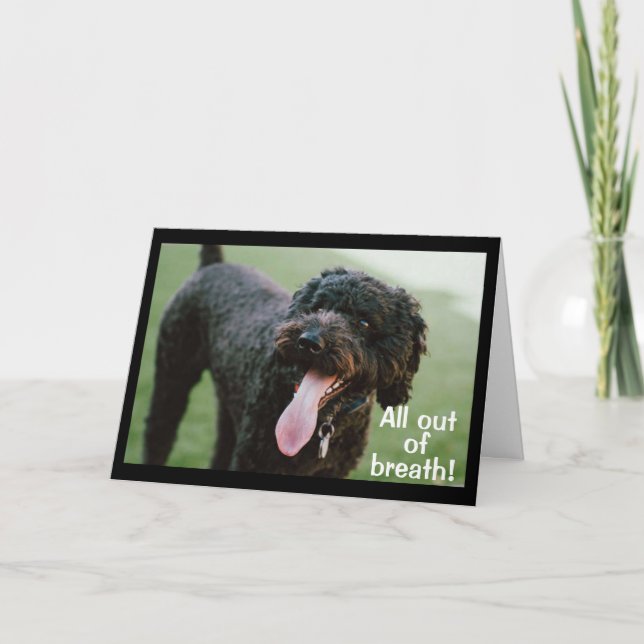 **TIME TO CELEBRATE YOUR 16th BIRTHDAY** Card (Front)