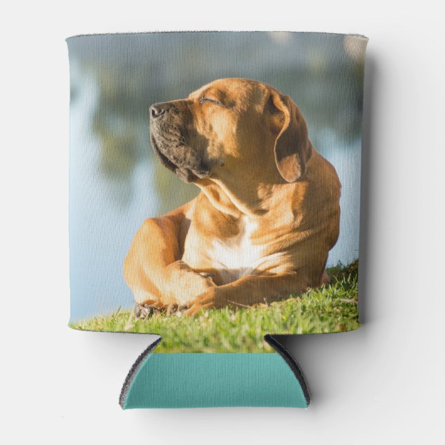 Time to Chill! Can Cooler (Front)