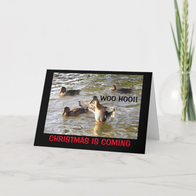 Time To Duck The Halls! Christmas Humor Holiday Card (Front)