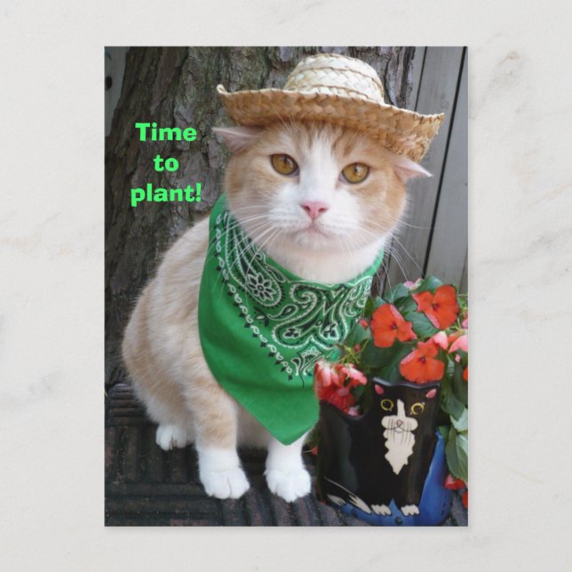 Time to Plant! Postcard (Front)
