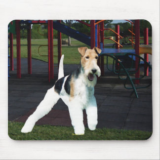 Time To Play! Mouse Mat