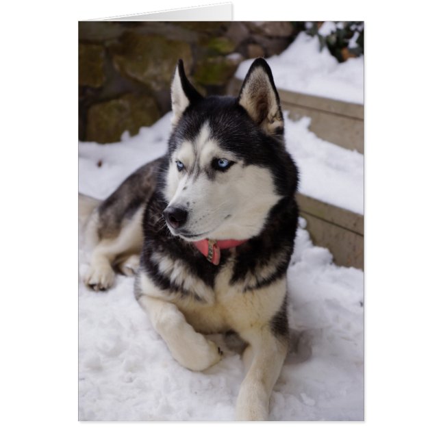 Time To Rest (Front)