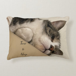 Time to Sleep Cat Pillow