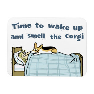 Time to Wake Up and Smell the Corgi Magnet